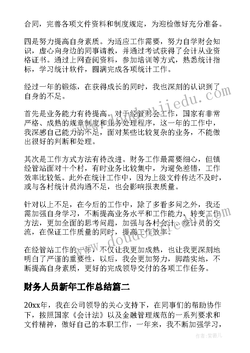 2023年财务人员新年工作总结(通用7篇)