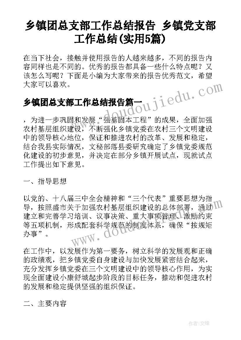 乡镇团总支部工作总结报告 乡镇党支部工作总结(实用5篇)