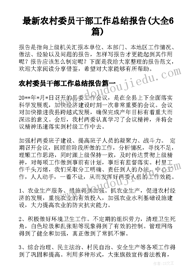 最新农村委员干部工作总结报告(大全6篇)