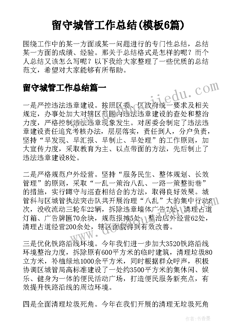 留守城管工作总结(模板6篇)