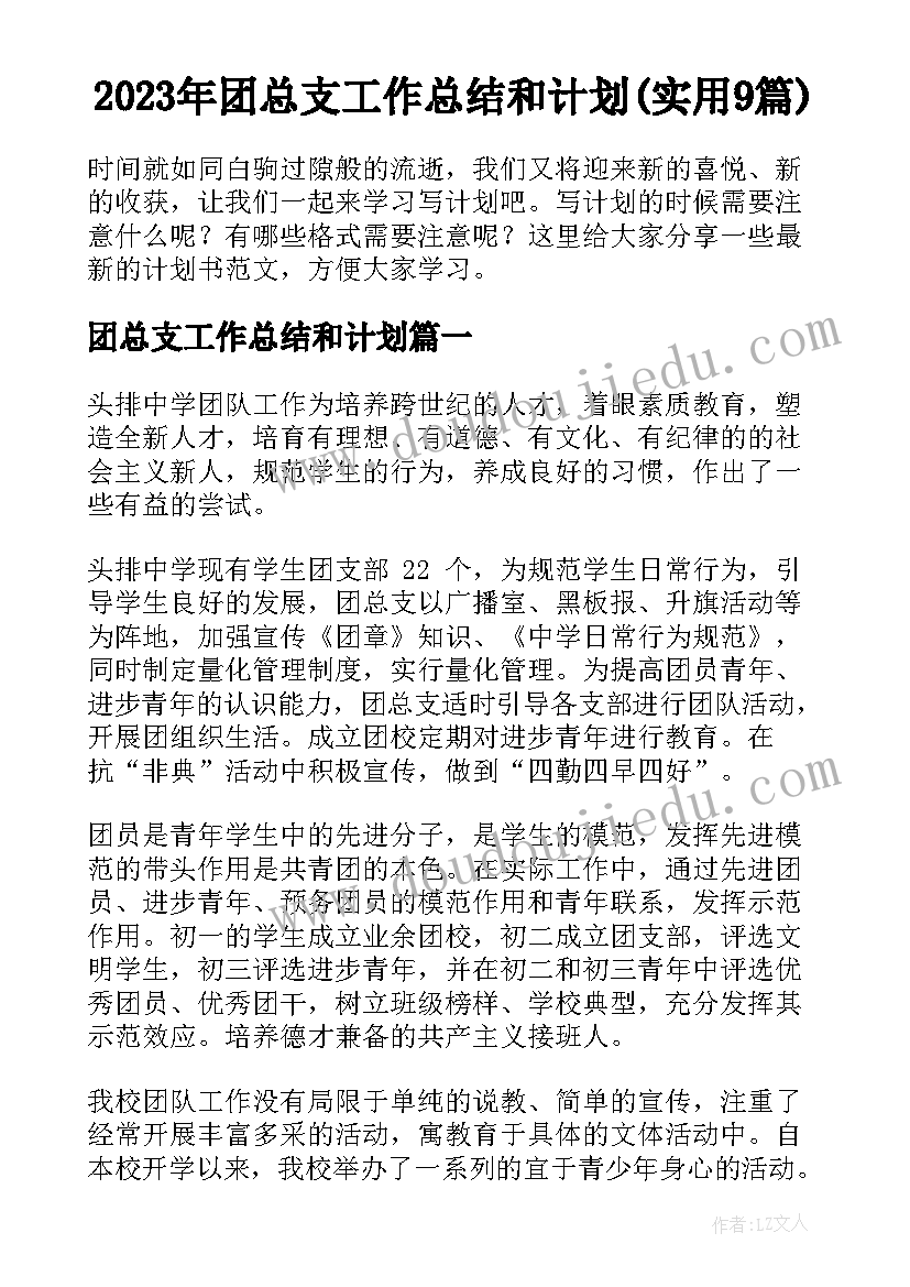 2023年团总支工作总结和计划(实用9篇)