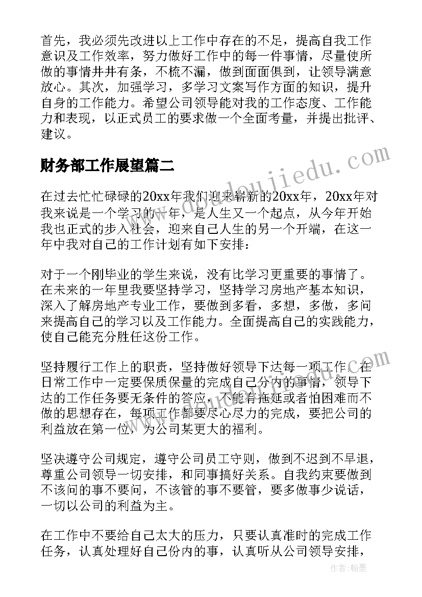 2023年财务部工作展望 试用期工作总结与未来工作展望(优质5篇)