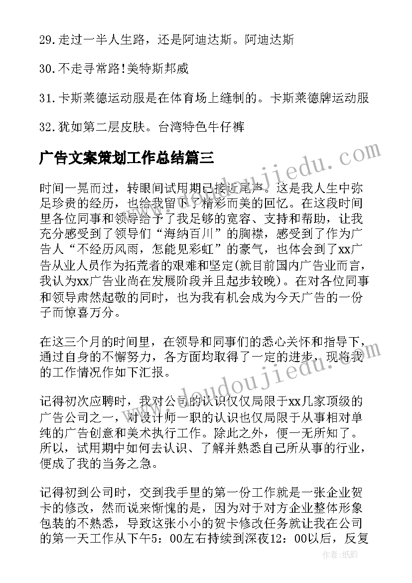 2023年广告文案策划工作总结(大全9篇)