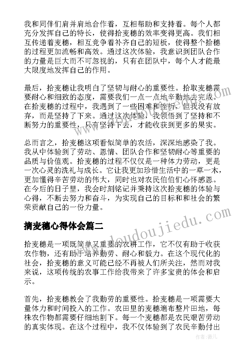 摘麦穗心得体会(优秀5篇)