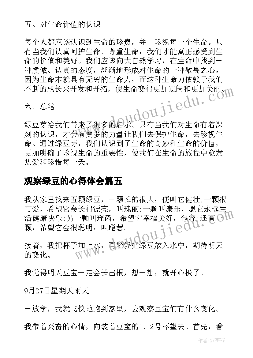 2023年观察绿豆的心得体会(模板5篇)