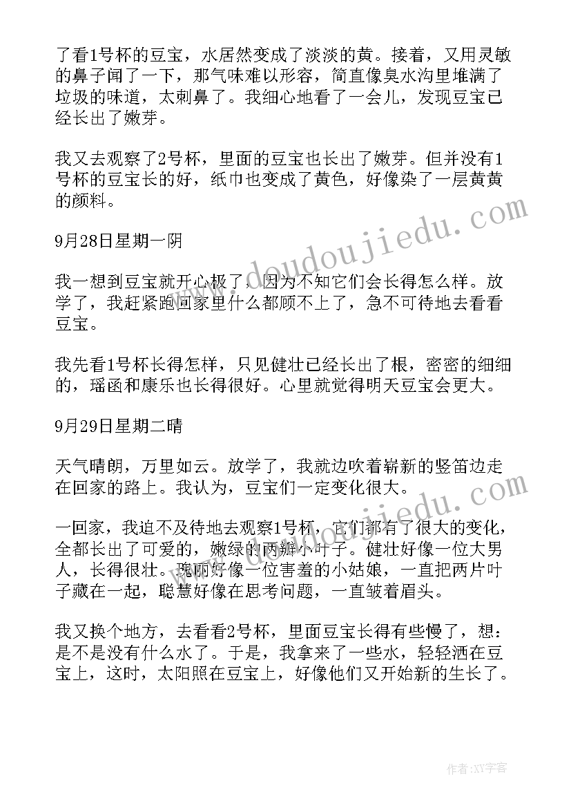 2023年观察绿豆的心得体会(模板5篇)