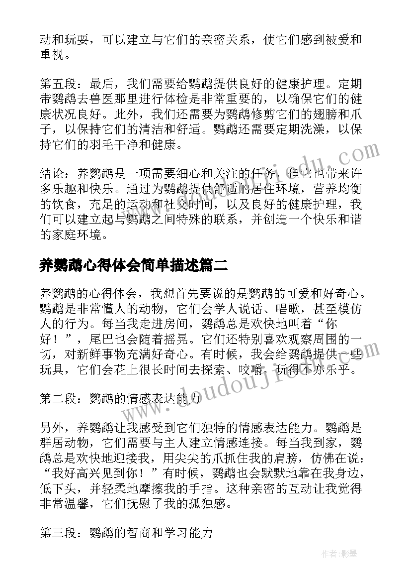 2023年养鹦鹉心得体会简单描述(精选5篇)