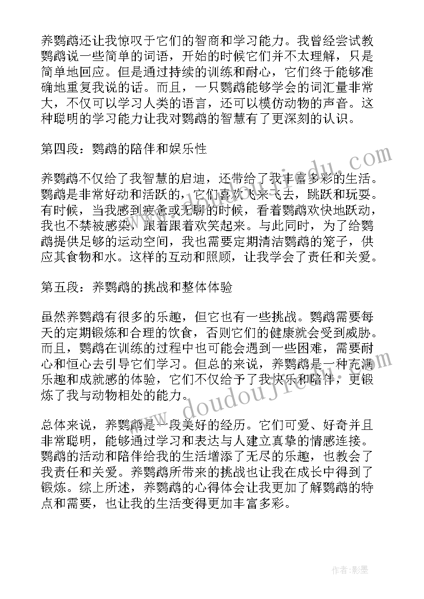 2023年养鹦鹉心得体会简单描述(精选5篇)