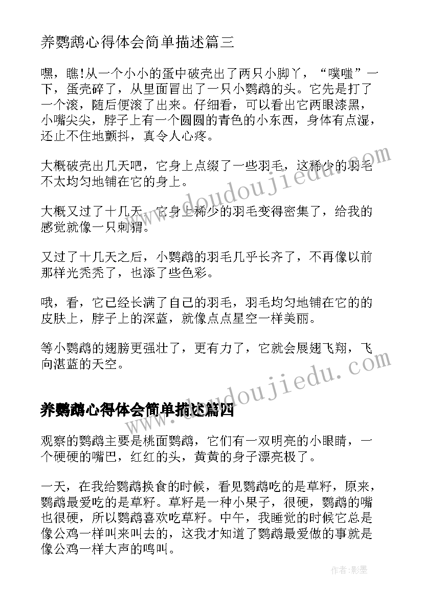 2023年养鹦鹉心得体会简单描述(精选5篇)