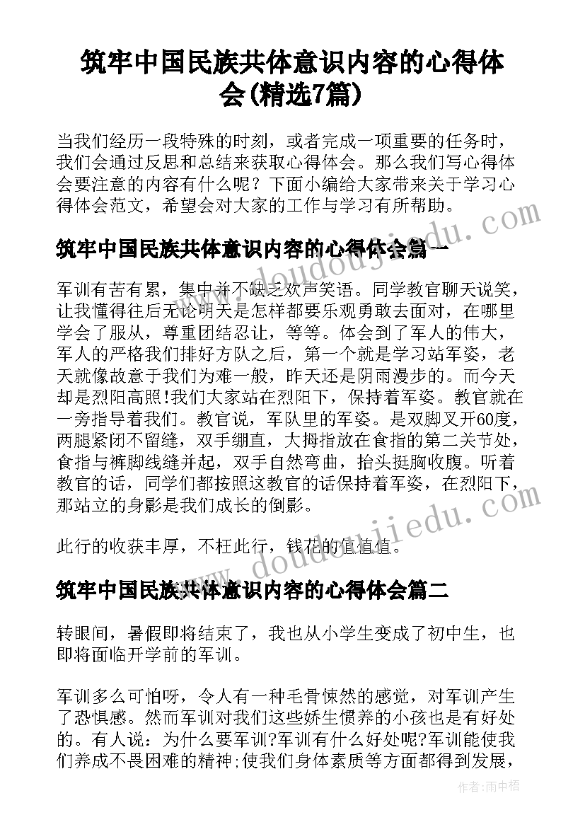 筑牢中国民族共体意识内容的心得体会(精选7篇)