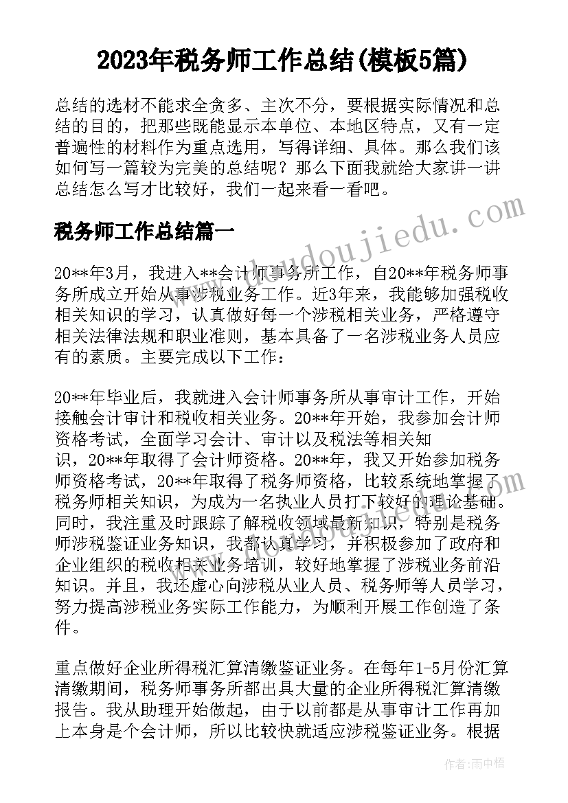 2023年税务师工作总结(模板5篇)