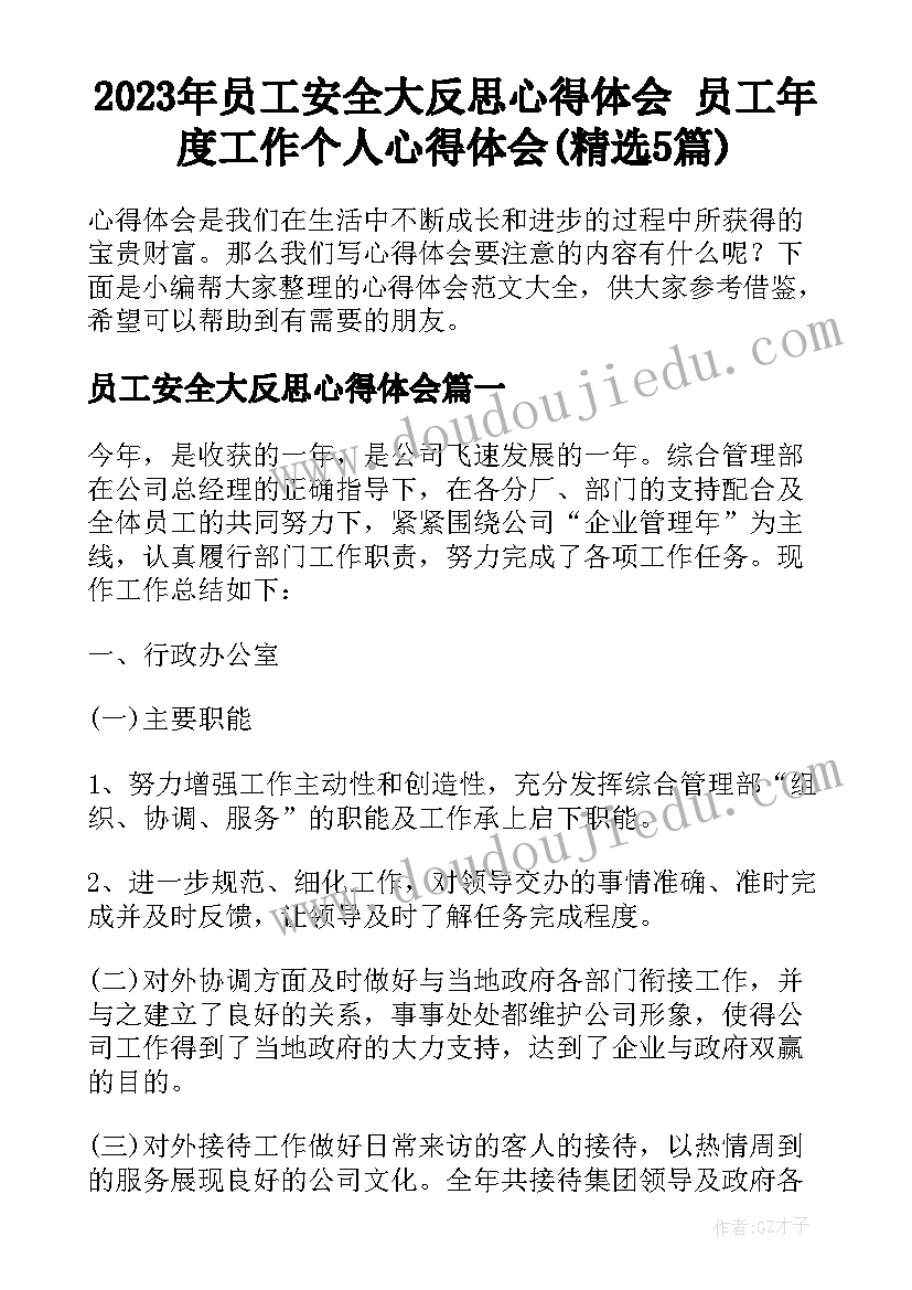 2023年员工安全大反思心得体会 员工年度工作个人心得体会(精选5篇)