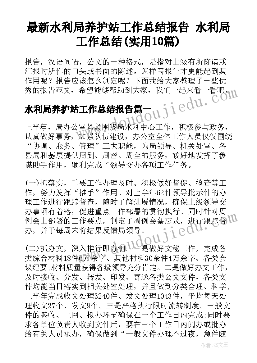 最新水利局养护站工作总结报告 水利局工作总结(实用10篇)