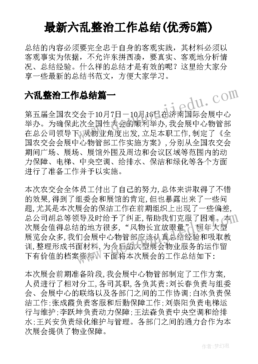 最新六乱整治工作总结(优秀5篇)