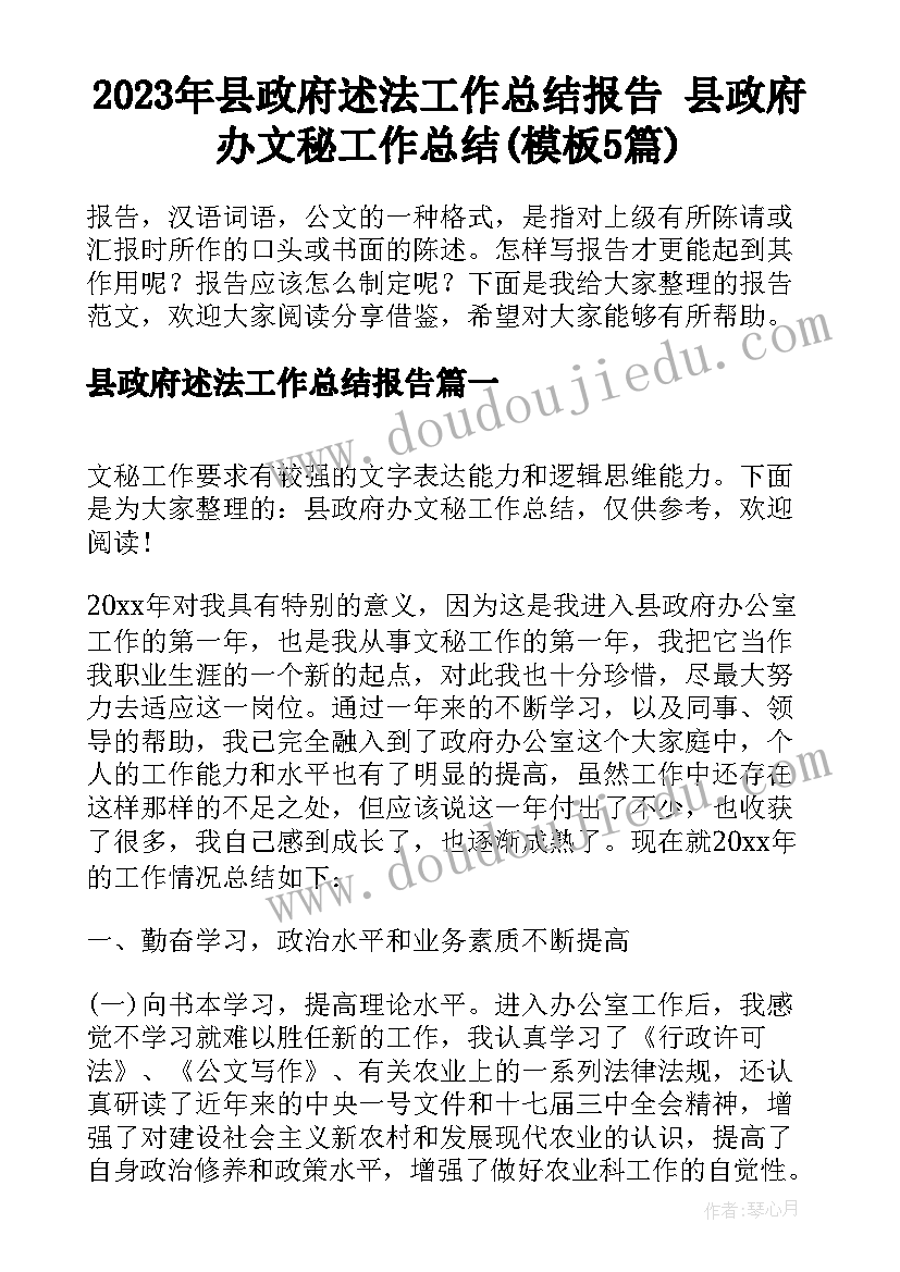 2023年县政府述法工作总结报告 县政府办文秘工作总结(模板5篇)