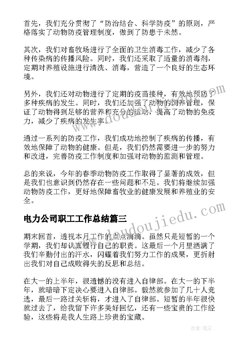 2023年电力公司职工工作总结(实用5篇)