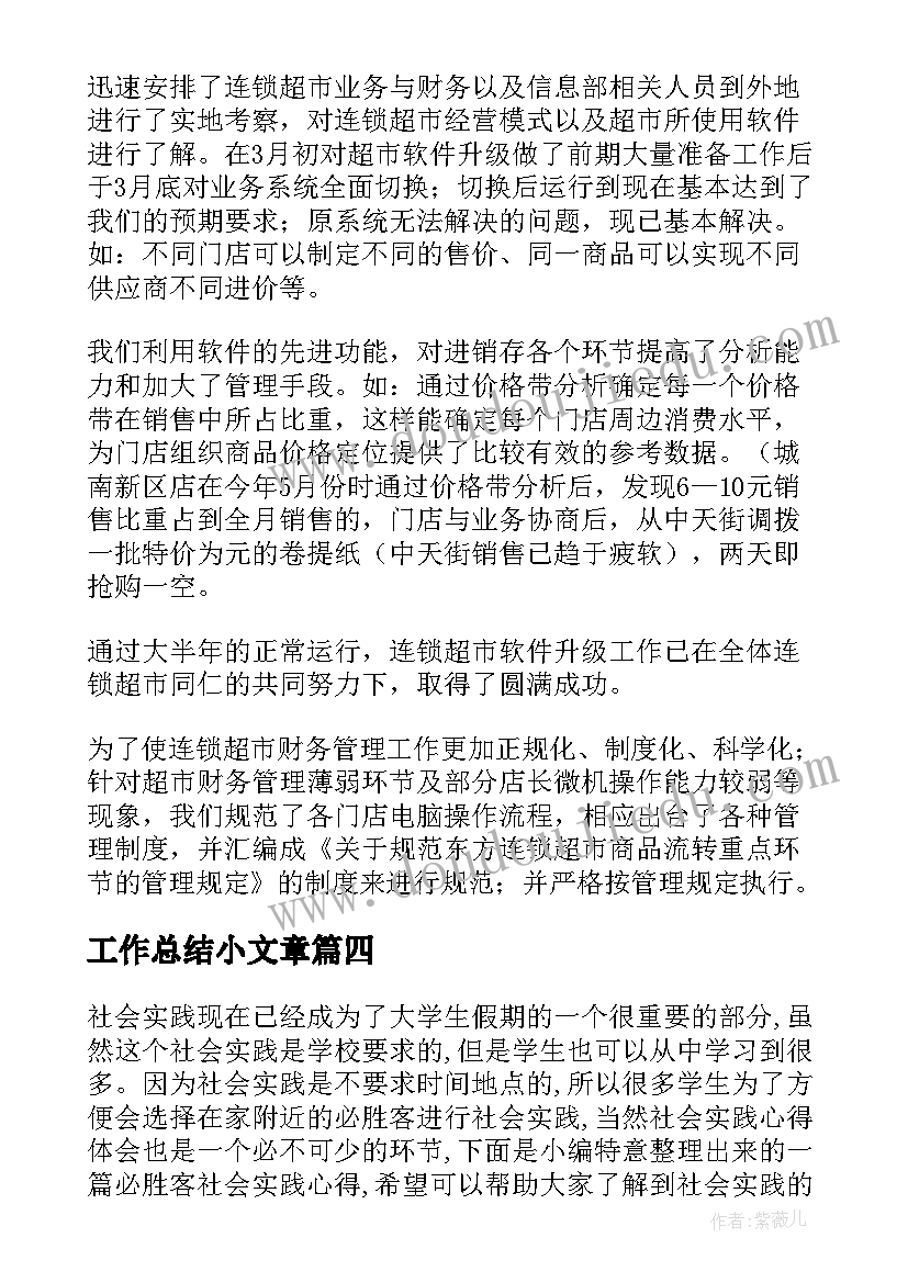 最新工作总结小文章(优秀5篇)