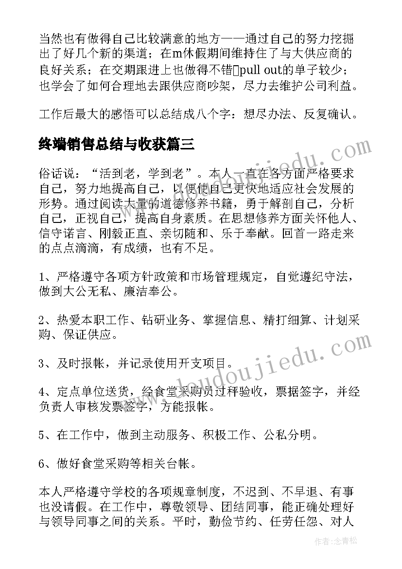 2023年终端销售总结与收获 采购工作总结(精选8篇)