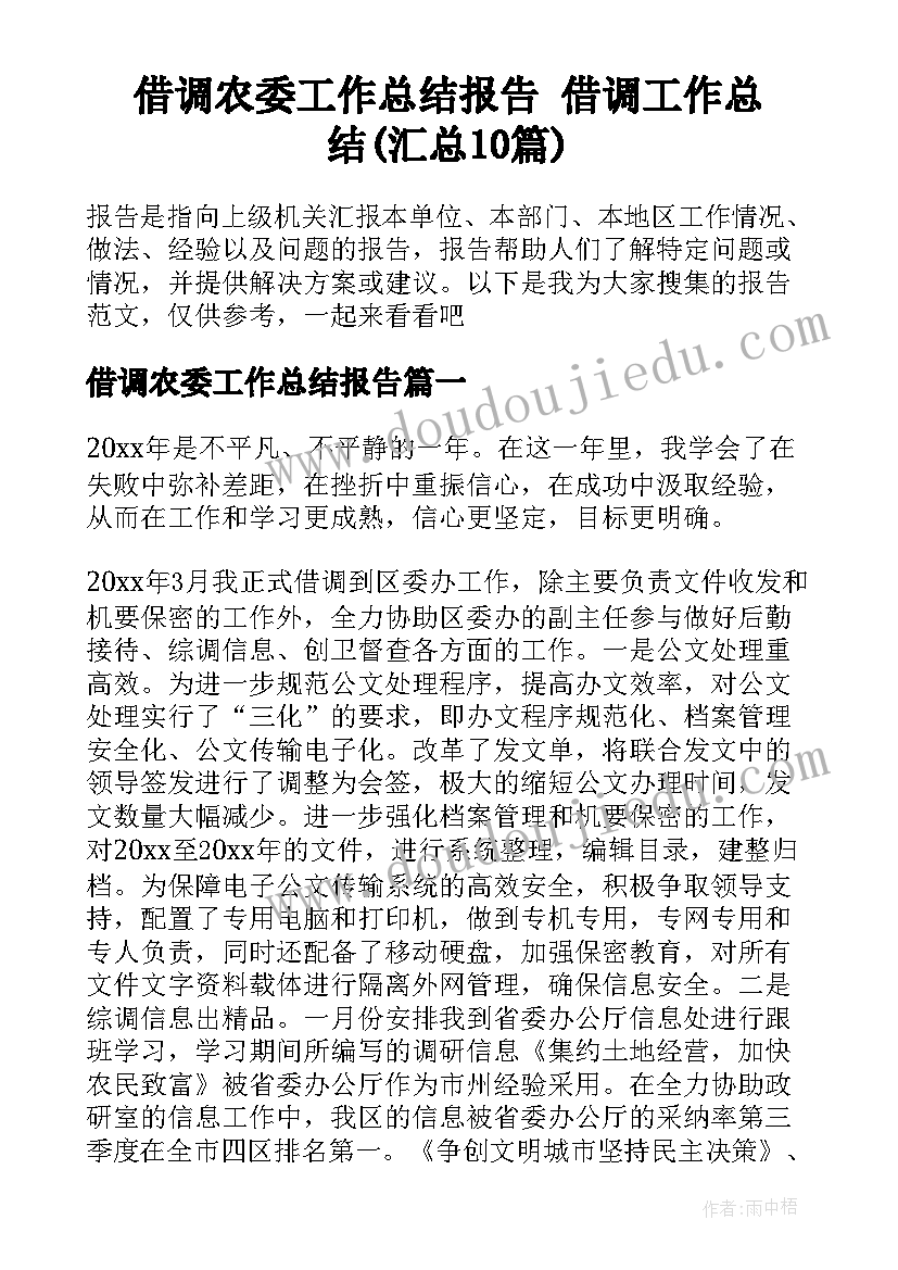 借调农委工作总结报告 借调工作总结(汇总10篇)