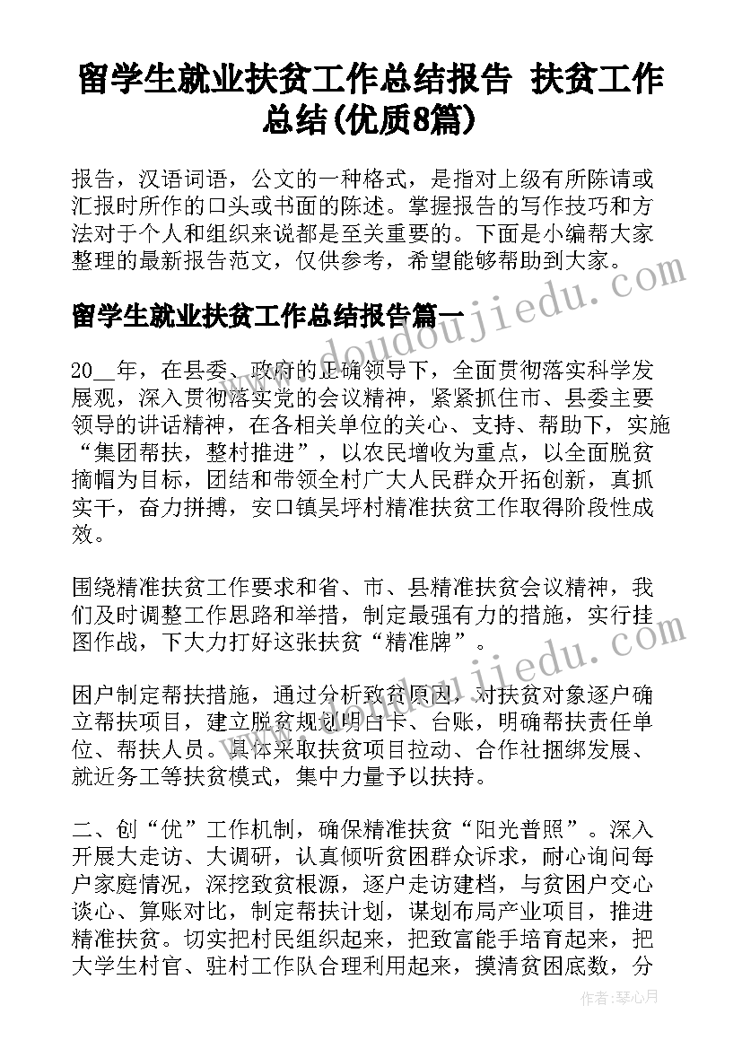 留学生就业扶贫工作总结报告 扶贫工作总结(优质8篇)