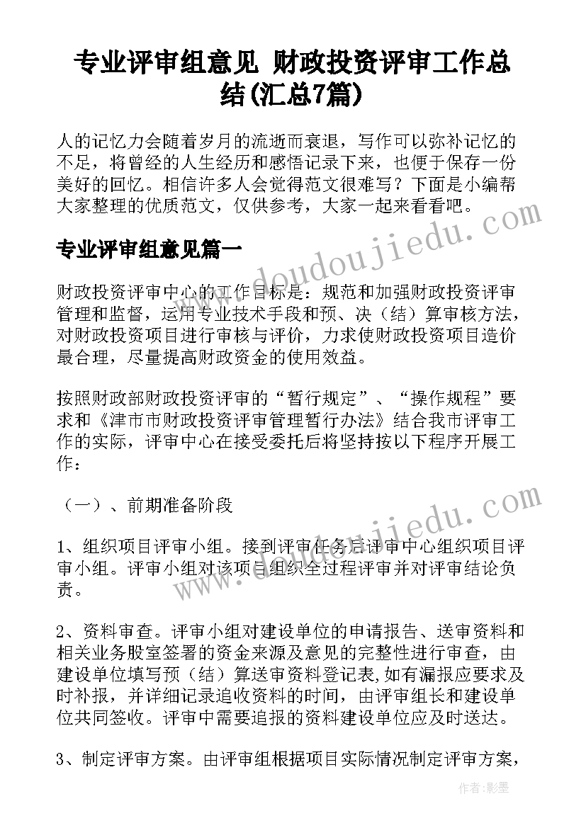 专业评审组意见 财政投资评审工作总结(汇总7篇)