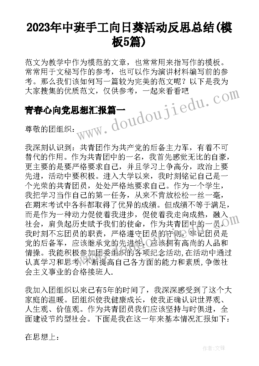 2023年中班手工向日葵活动反思总结(模板5篇)