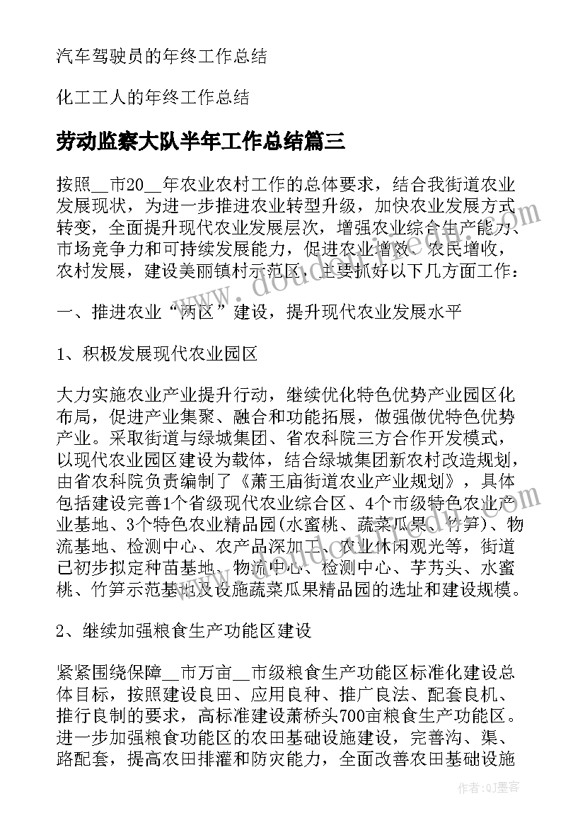 劳动监察大队半年工作总结(通用5篇)