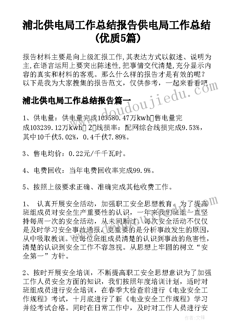 浦北供电局工作总结报告 供电局工作总结(优质5篇)