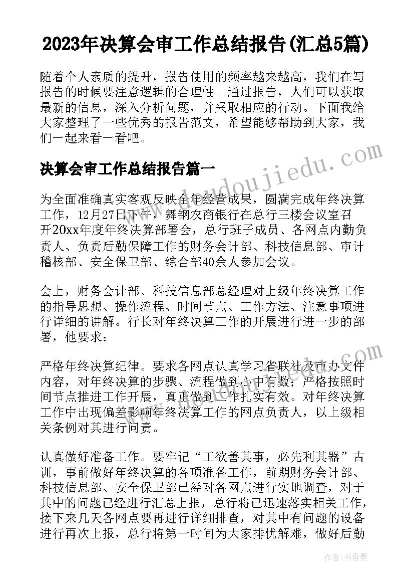 2023年决算会审工作总结报告(汇总5篇)