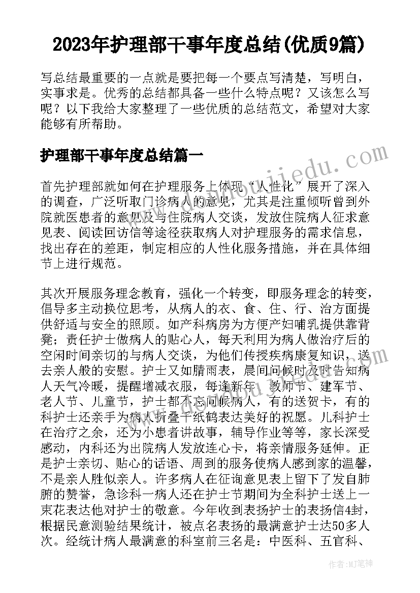 2023年护理部干事年度总结(优质9篇)