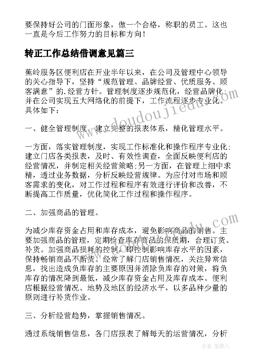 转正工作总结借调意见 转正工作总结(大全7篇)