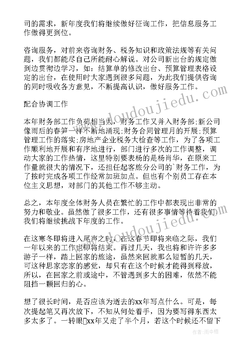 最新财务公司工作总结个人(通用8篇)