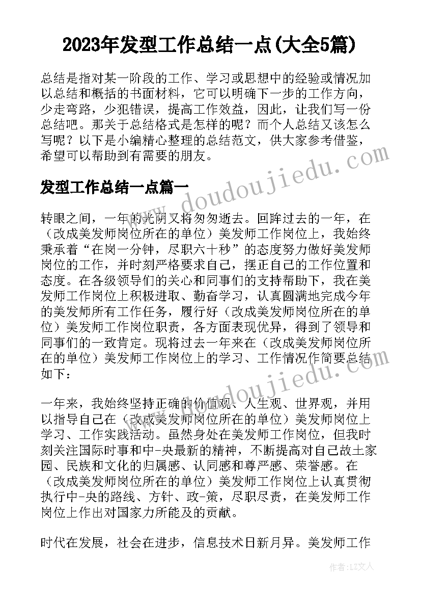 2023年发型工作总结一点(大全5篇)