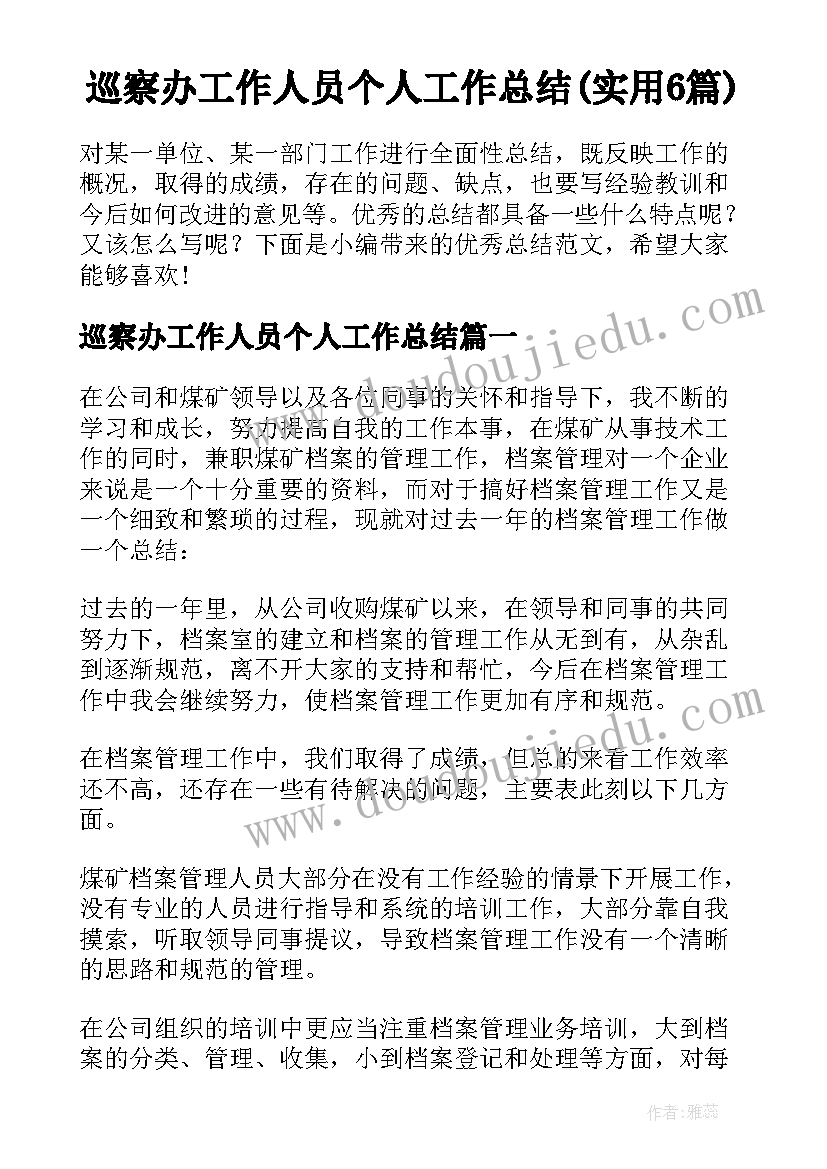 巡察办工作人员个人工作总结(实用6篇)