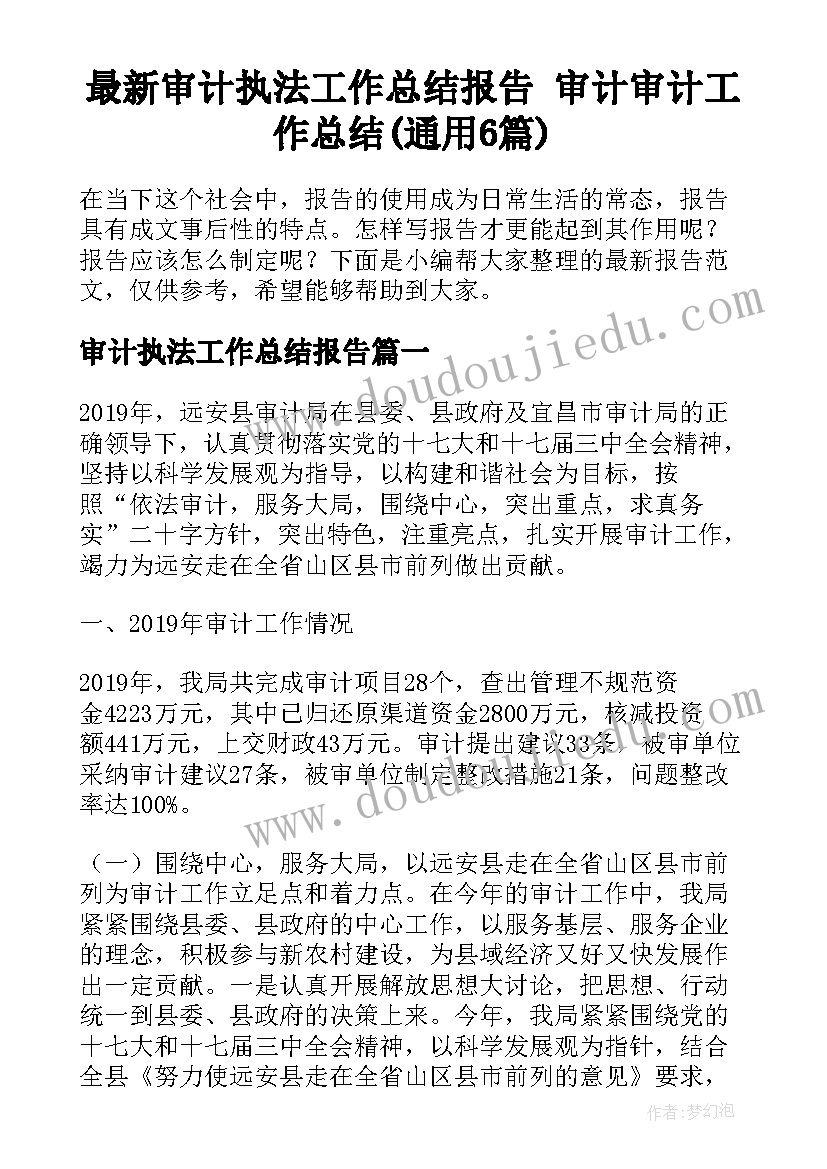 最新审计执法工作总结报告 审计审计工作总结(通用6篇)