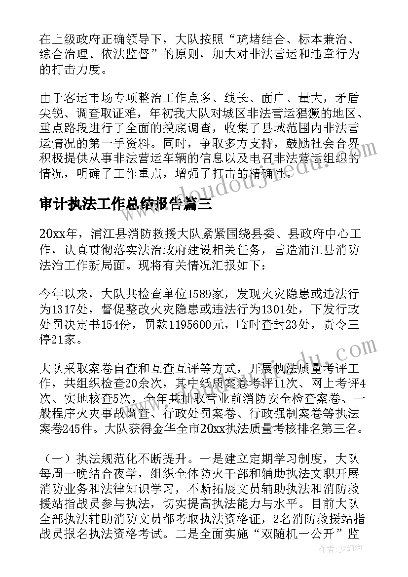 最新审计执法工作总结报告 审计审计工作总结(通用6篇)