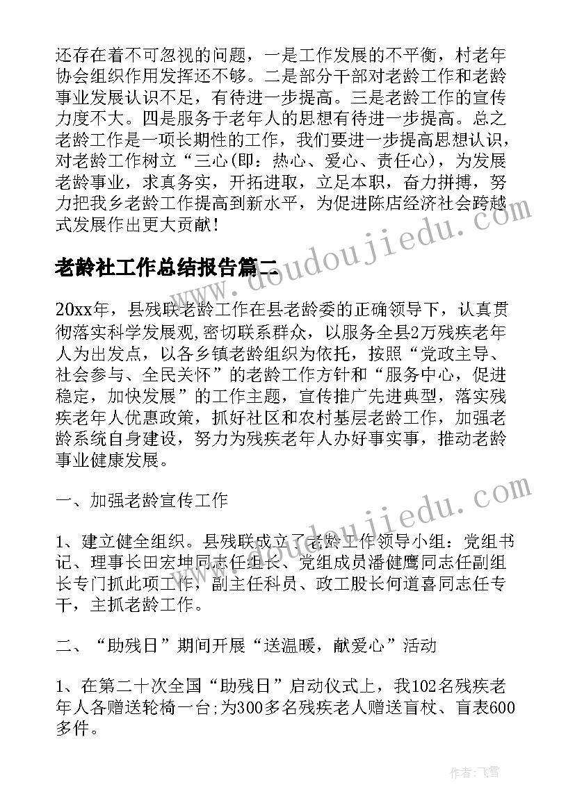 2023年老龄社工作总结报告(汇总10篇)