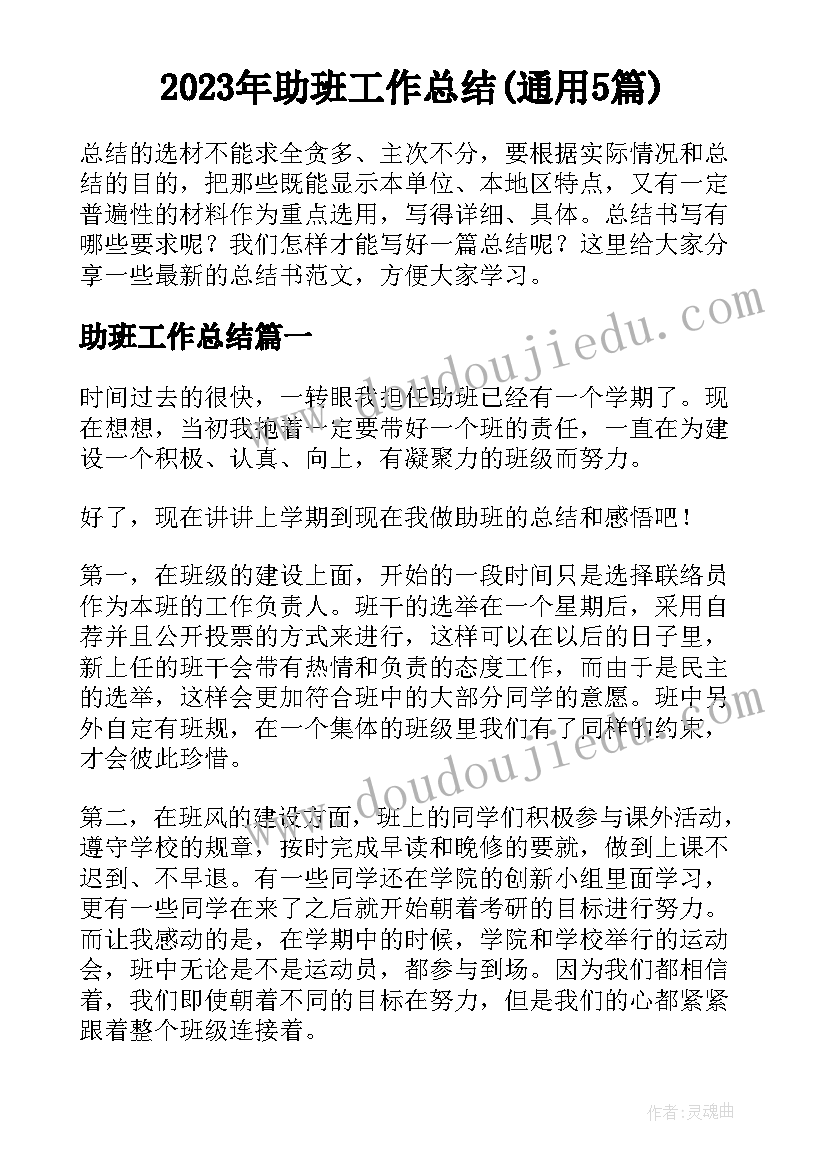 2023年助班工作总结(通用5篇)