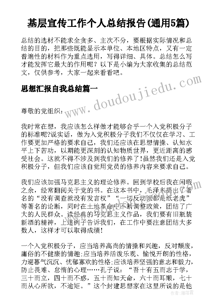 基层宣传工作个人总结报告(通用5篇)