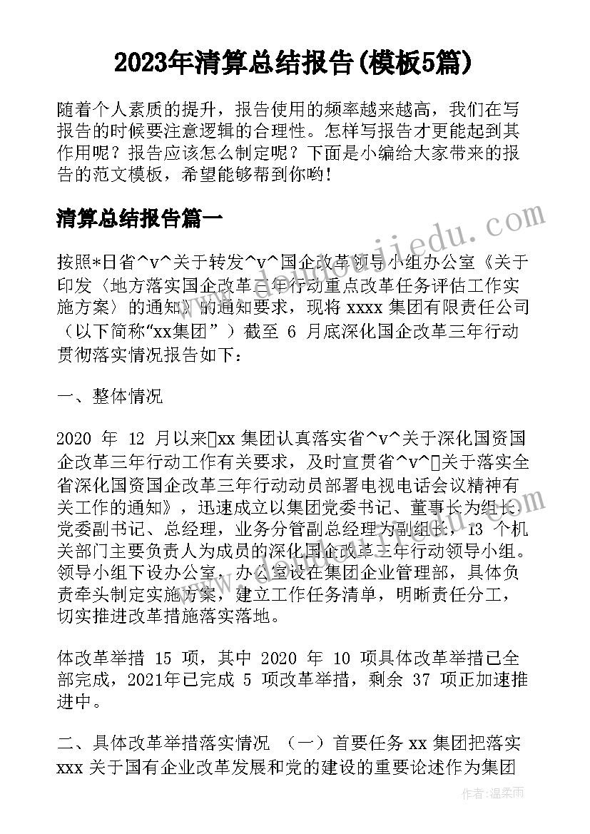 2023年清算总结报告(模板5篇)