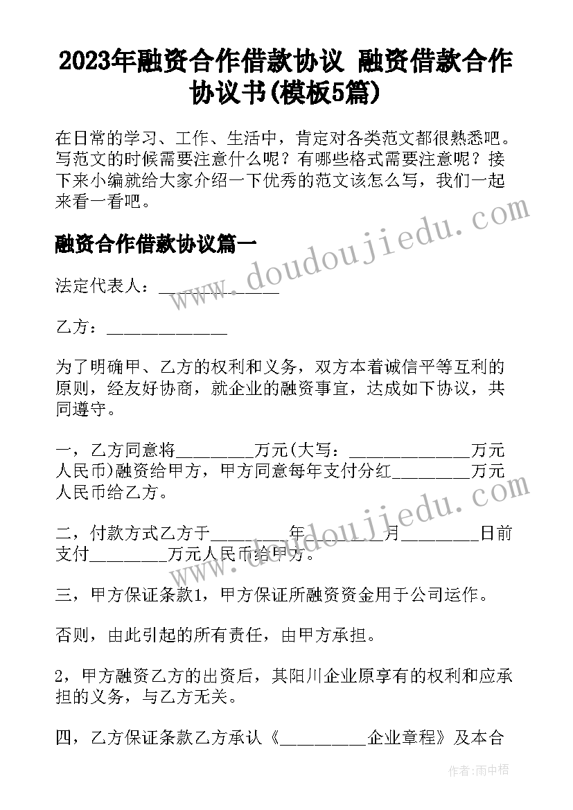 2023年融资合作借款协议 融资借款合作协议书(模板5篇)