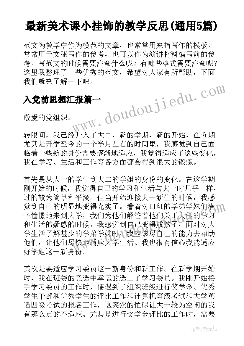 最新美术课小挂饰的教学反思(通用5篇)