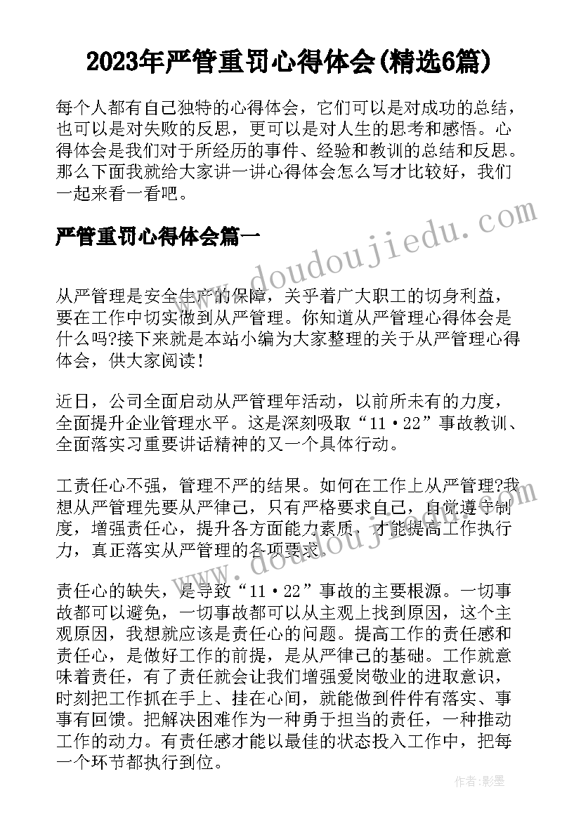 2023年严管重罚心得体会(精选6篇)