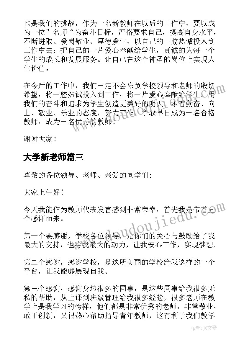 大学新老师 新教师代表发言稿(大全6篇)