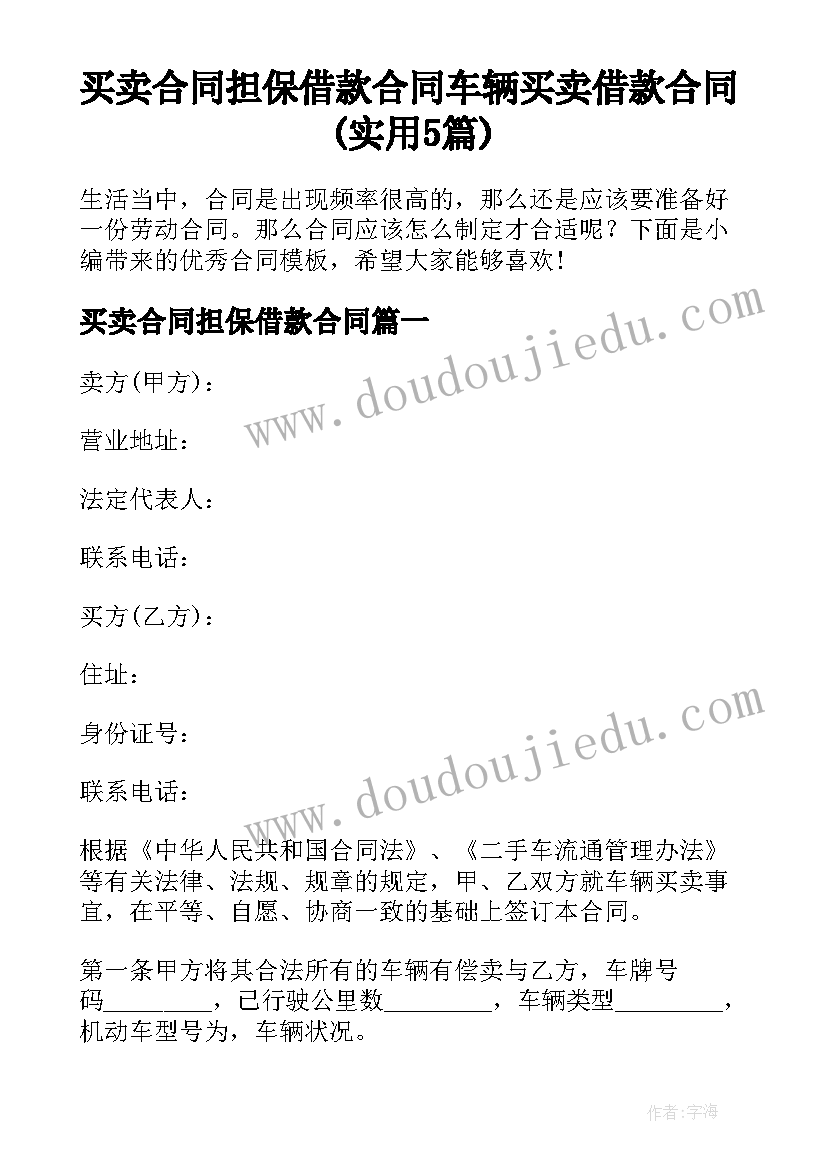 买卖合同担保借款合同 车辆买卖借款合同(实用5篇)