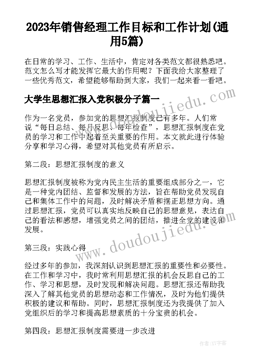 2023年销售经理工作目标和工作计划(通用5篇)