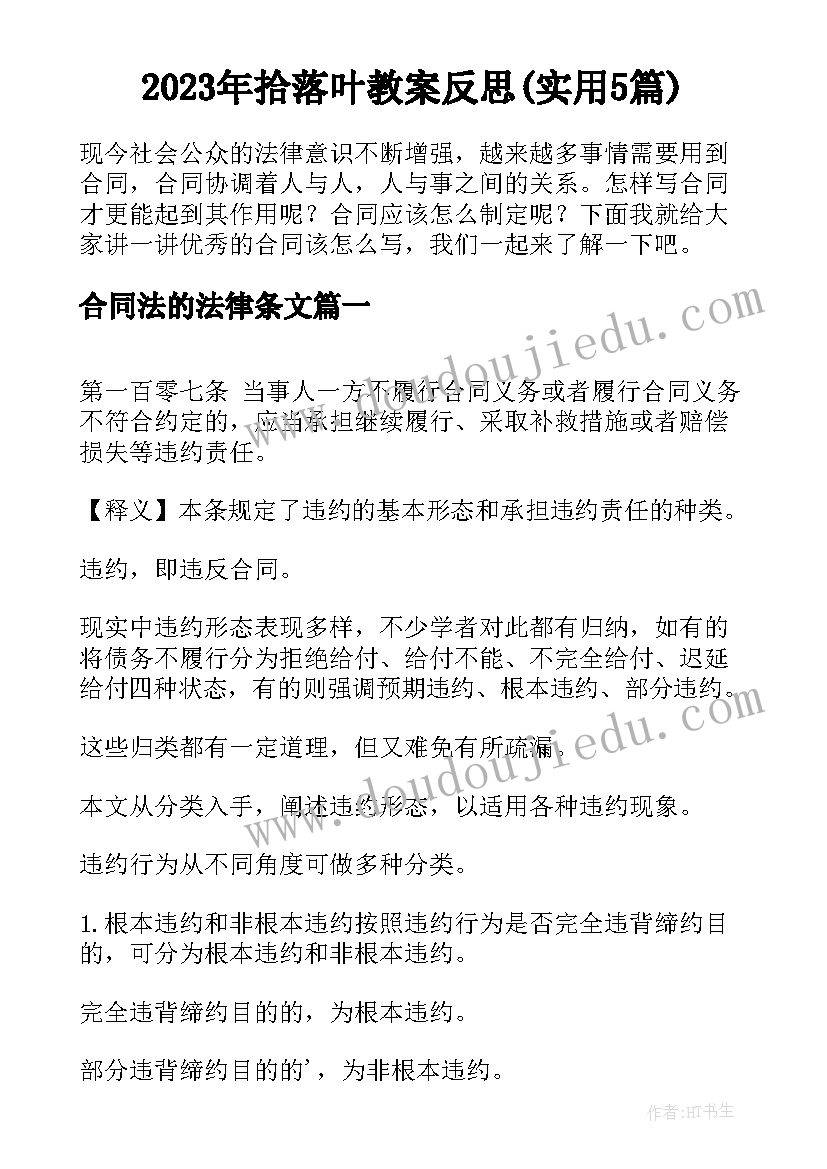 2023年拾落叶教案反思(实用5篇)