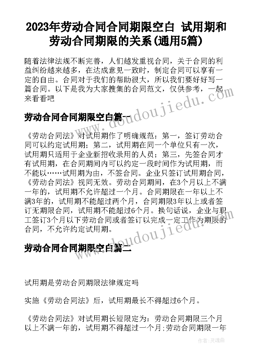 2023年劳动合同合同期限空白 试用期和劳动合同期限的关系(通用5篇)