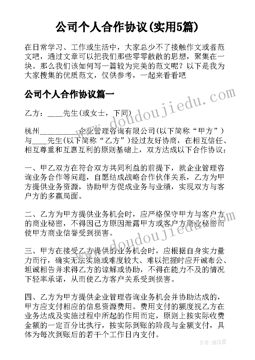 公司个人合作协议(实用5篇)