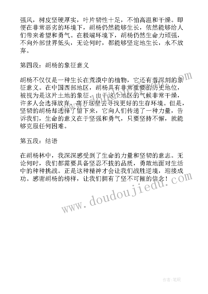 最新新课标九上语文教学计划人教版 新课标第二册语文教学计划(优质5篇)